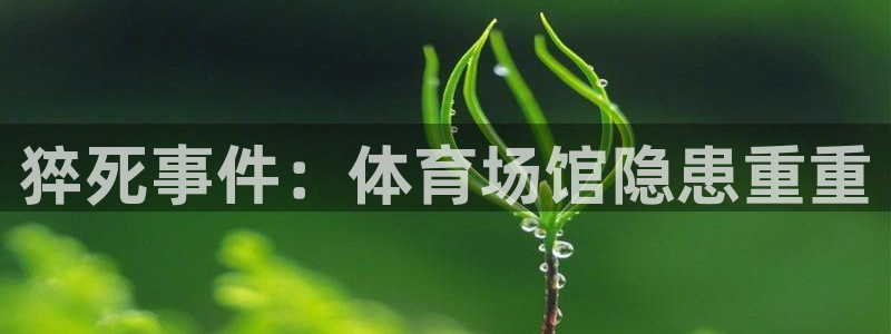 尊龙凯时推荐人