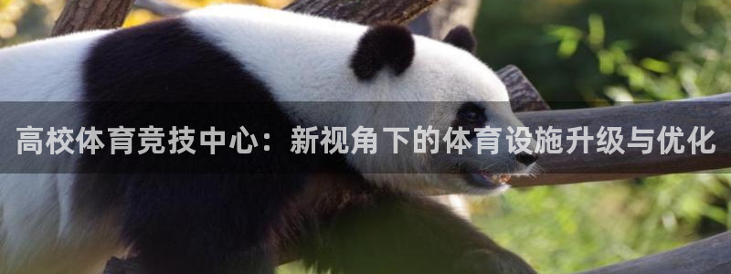 尊龙凯时网站赌愽做假吗