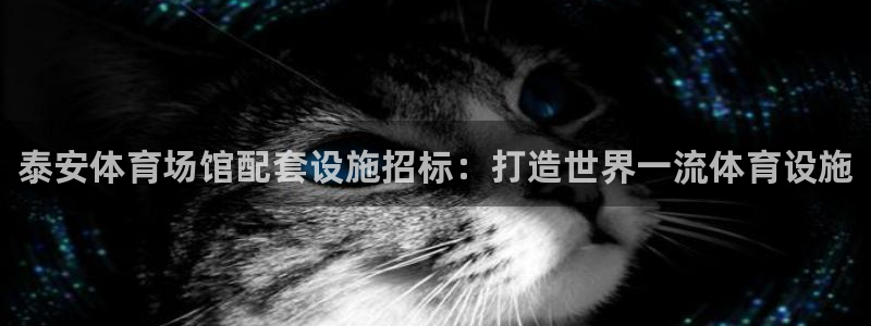 尊龙凯时电竞注册：泰安体育场馆配套设施招标：打造世界一流体育